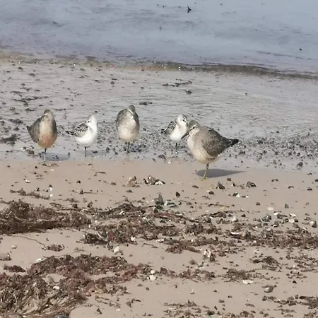 בית נופש 6 Person In Hjorring-by Traum